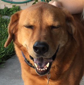 Thank you, Mary, for being a good sport and filling in for Barkevious.