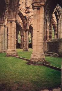 Maybe that pig could finally shake the monkey off his back amongst the columns of Tintern Abbey