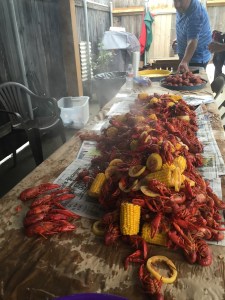 The bounty from this past weekend