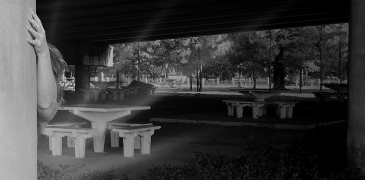 Anne-McClane_Cover_Conceptblog