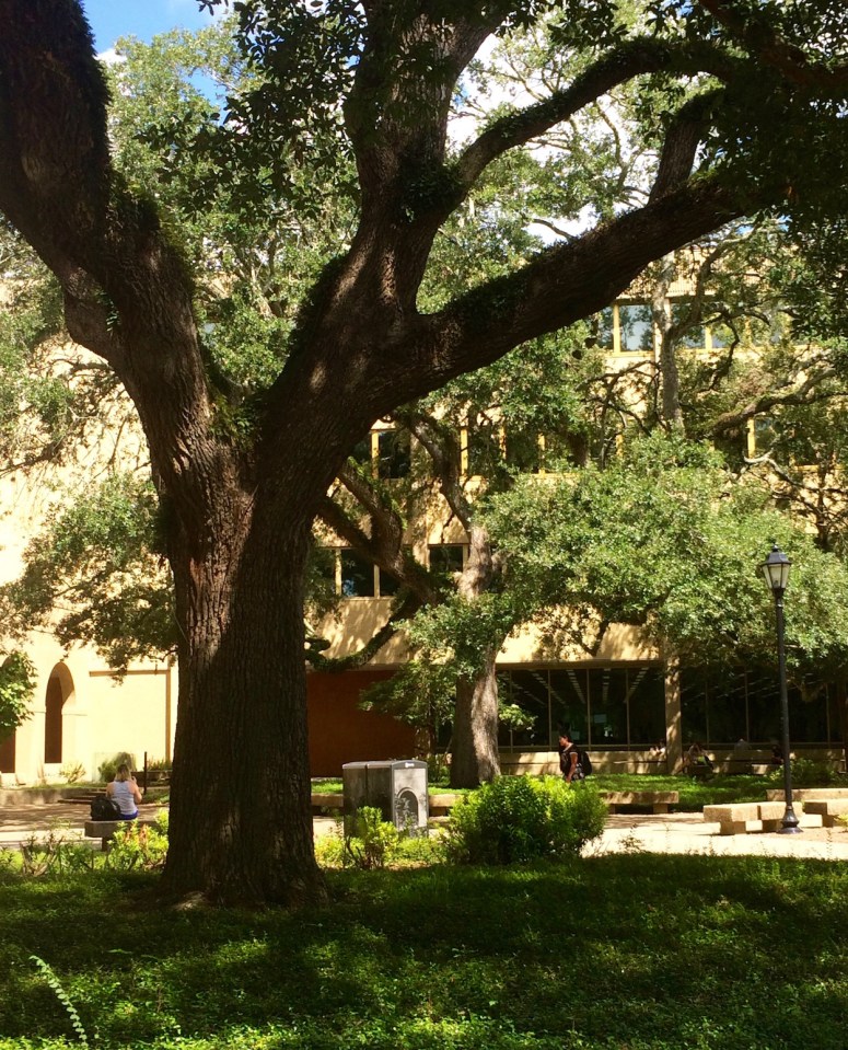 LSU library. Photo credit: Cecelia Morise