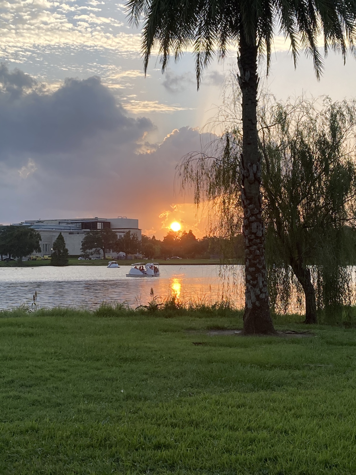 New Orleans City Park Summer 2020