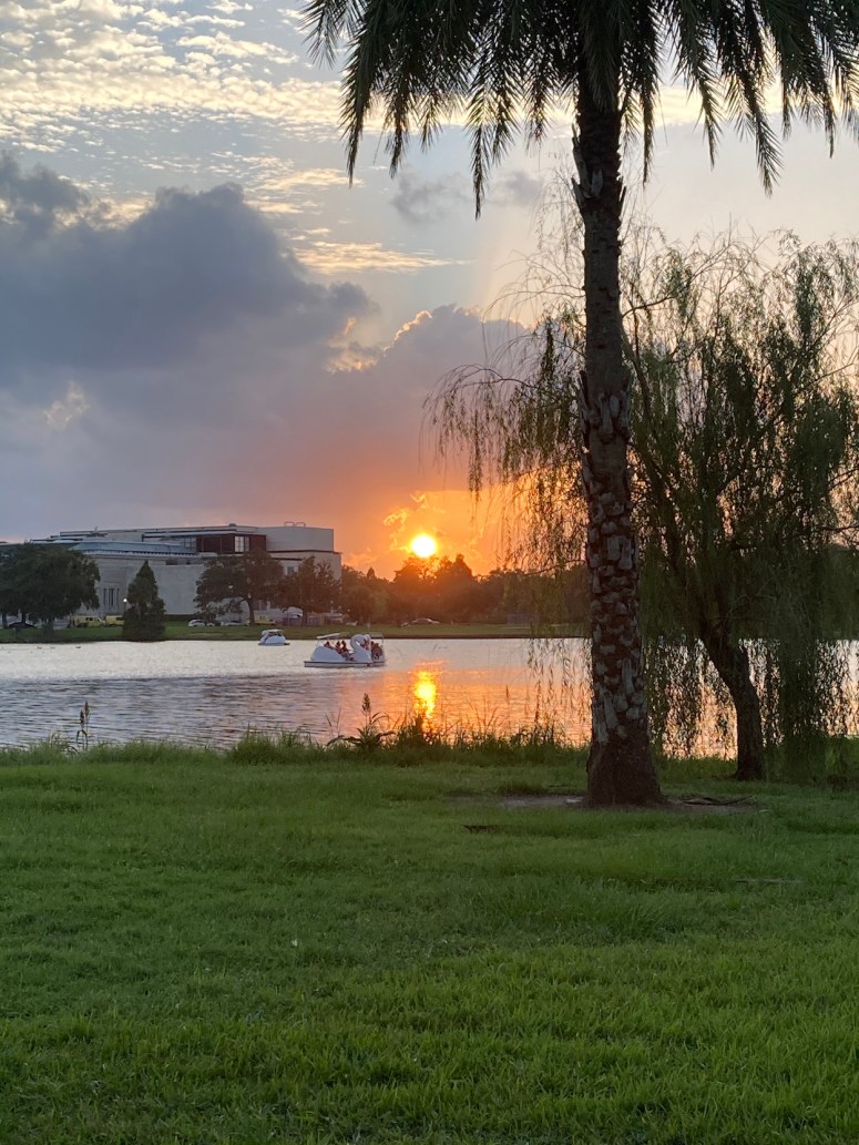 New Orleans City Park Summer 2020